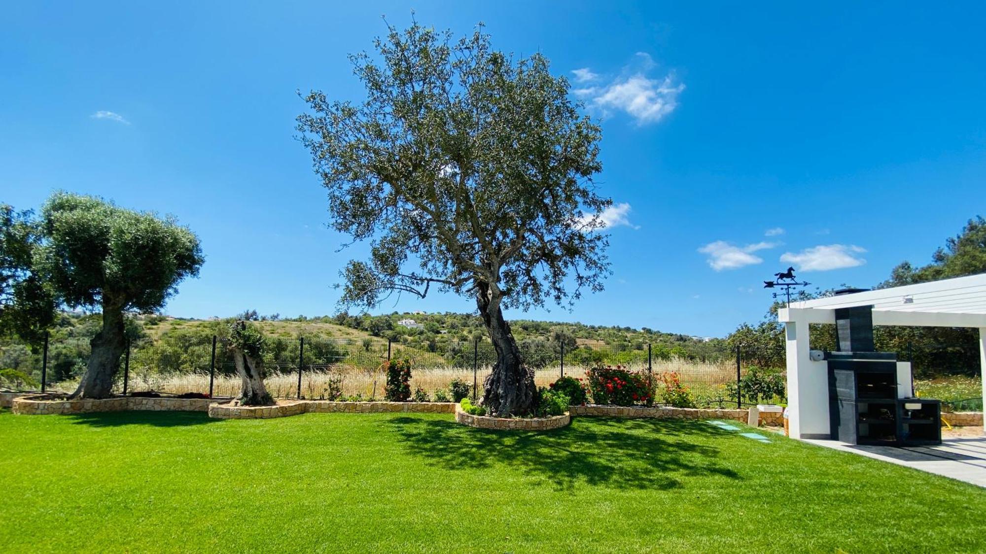 הוילה אלבופיירה Eden By Check-In Portugal מראה חיצוני תמונה